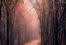 NG娱乐- 德布劳内为什么评价第三人 